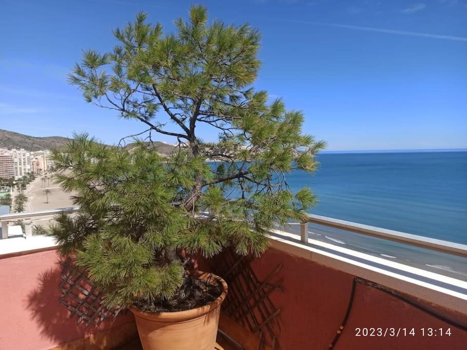 Appartement Espectacular Terraza Y Vistas En 1a Linea De Playa Cullera