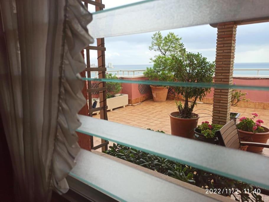 Apartment Espectacular Terraza Y Vistas En 1a Linea De Playa Cullera